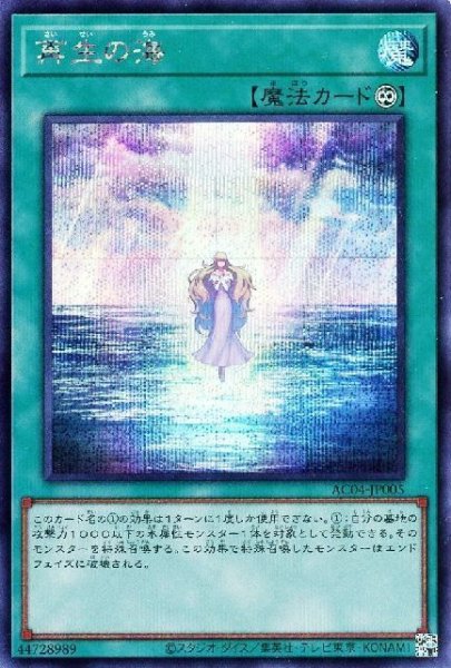 画像1: 再生の海【シク】 (1)